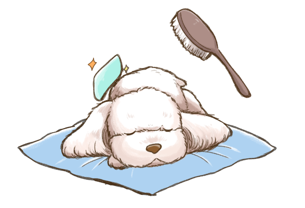 初めてのペット葬儀